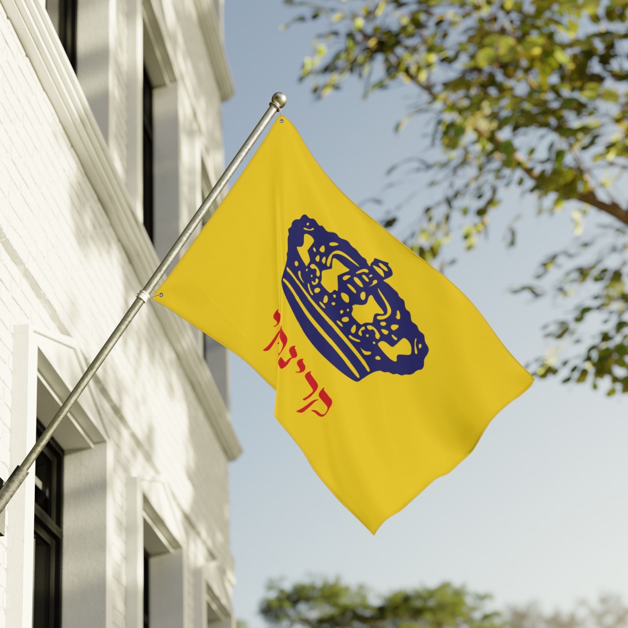 Anti-Moshiach Meme Flag